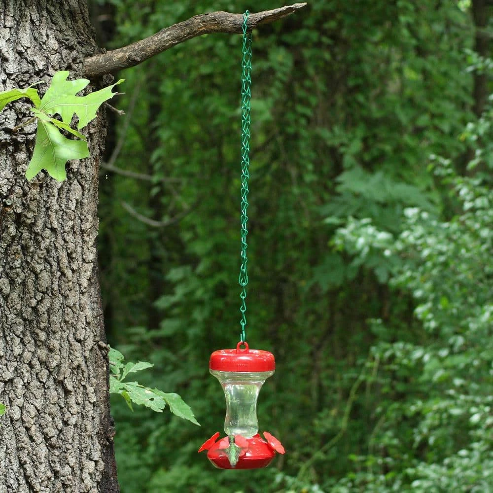 33 in. Chain and Hook for Hanging Bird Feeders - 16 lb. Load Capacity by Perky-Pet 3 33 in. Chain and Hook for Hanging Bird Feeders - 16 lb. Load Capacity by Perky-Pet - Image 3