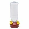 Clear Plastic Lantern Hummingbird Feeder - 18 oz. Capacity by Perky-Pet
