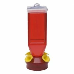 Clear Plastic Lantern Hummingbird Feeder - 18 oz. Capacity by Perky-Pet -Cheap Bird & Wildlife Supplies Store perky pet bird feeders 201 a0 1000
