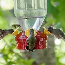 Clear Plastic Lantern Hummingbird Feeder - 18 oz. Capacity by Perky-Pet -Cheap Bird & Wildlife Supplies Store perky pet bird feeders 201 c3 1000