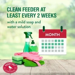 Clear Pinch Waist Glass Hummingbird Feeder - 8 oz. Capacity by Perky-Pet -Cheap Bird & Wildlife Supplies Store perky pet bird feeders 203cpbn 76 1000