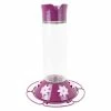 Our Best Wine Base Glass Hummingbird Feeder - 30 oz. Capacity by Perky-Pet