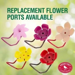 Our Best Wine Base Glass Hummingbird Feeder - 30 oz. Capacity by Perky-Pet -Cheap Bird & Wildlife Supplies Store perky pet bird feeders 209bw 76 1000