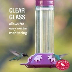 Our Best Wine Base Glass Hummingbird Feeder - 30 oz. Capacity by Perky-Pet -Cheap Bird & Wildlife Supplies Store perky pet bird feeders 209bw c3 1000