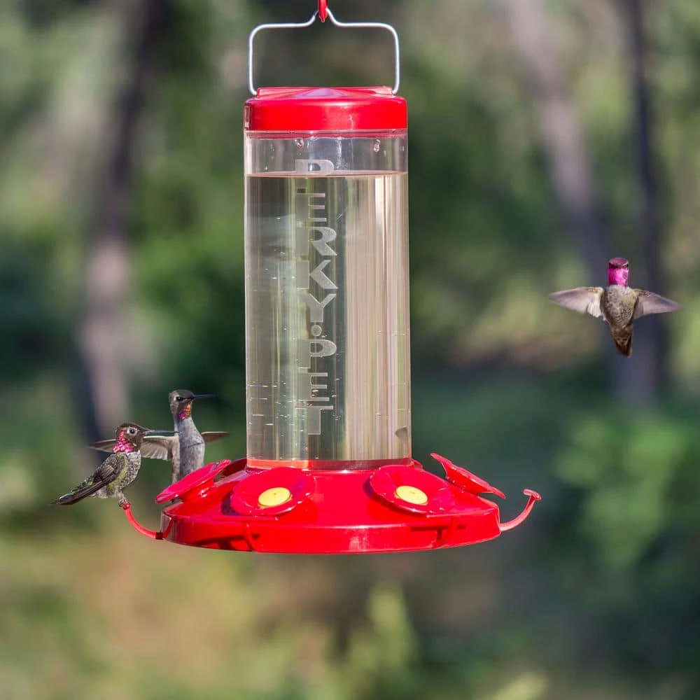 Grand Master Plastic Hummingbird Feeder - 48 oz. Capacity by Perky-Pet 8 Grand Master Plastic Hummingbird Feeder - 48 oz. Capacity by Perky-Pet - Image 8