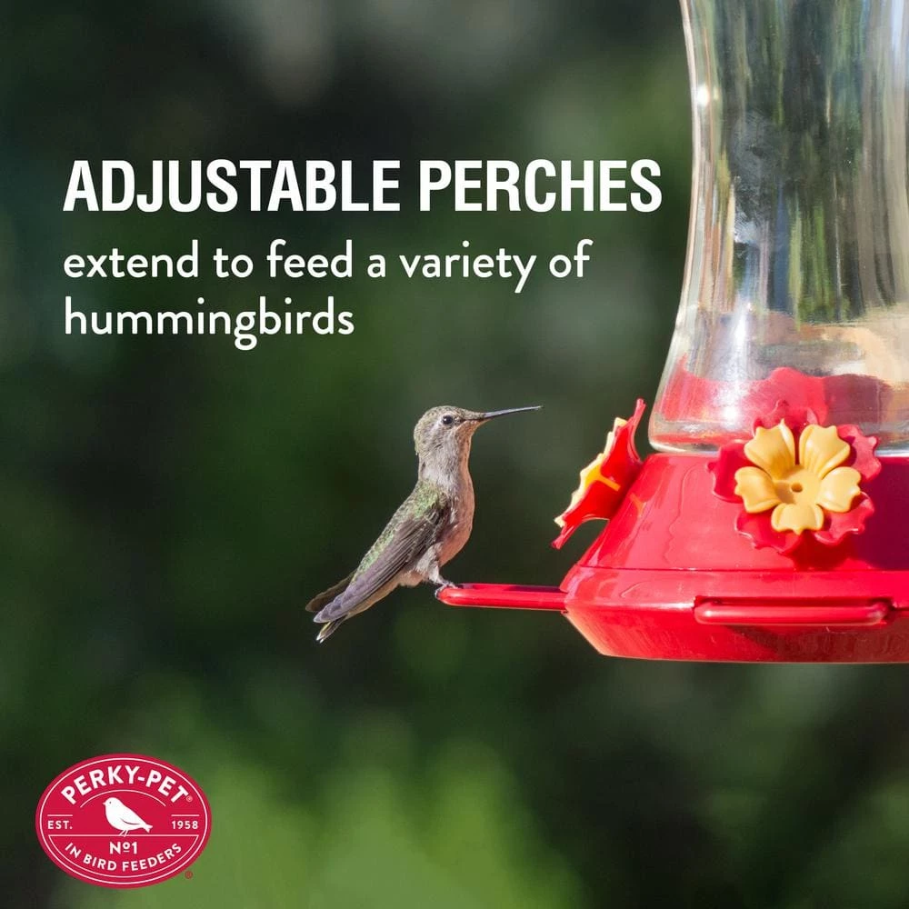 Adjustable Perch Glass Hummingbird Feeder - 20 oz. Capacity by Perky-Pet 5 Adjustable Perch Glass Hummingbird Feeder - 20 oz. Capacity by Perky-Pet - Image 5
