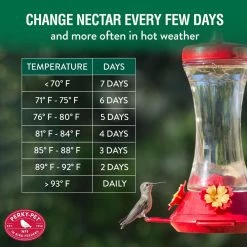 Adjustable Perch Glass Hummingbird Feeder - 20 oz. Capacity by Perky-Pet 17 Adjustable Perch Glass Hummingbird Feeder - 20 oz. Capacity by Perky-Pet -Cheap Bird & Wildlife Supplies Store perky pet bird feeders 476 3 76 1000