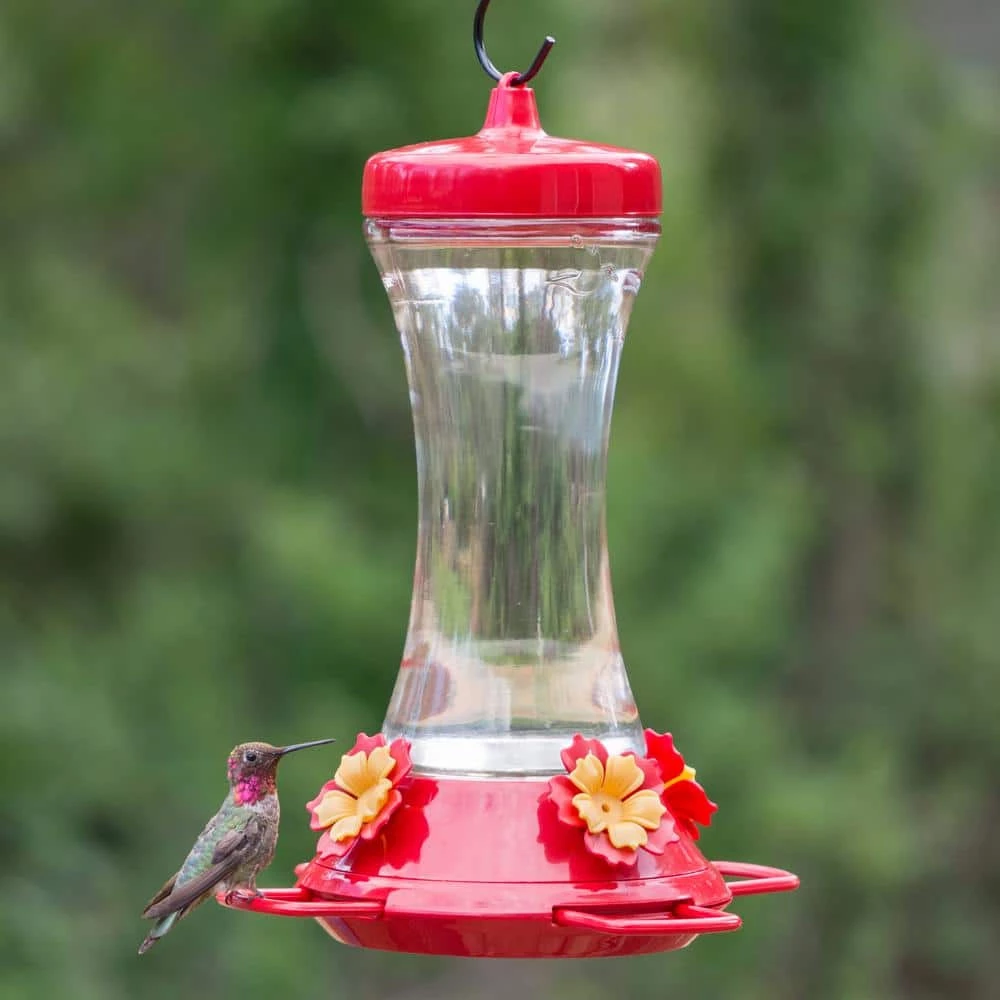 Adjustable Perch Glass Hummingbird Feeder - 20 oz. Capacity by Perky-Pet 2 Adjustable Perch Glass Hummingbird Feeder - 20 oz. Capacity by Perky-Pet - Image 2