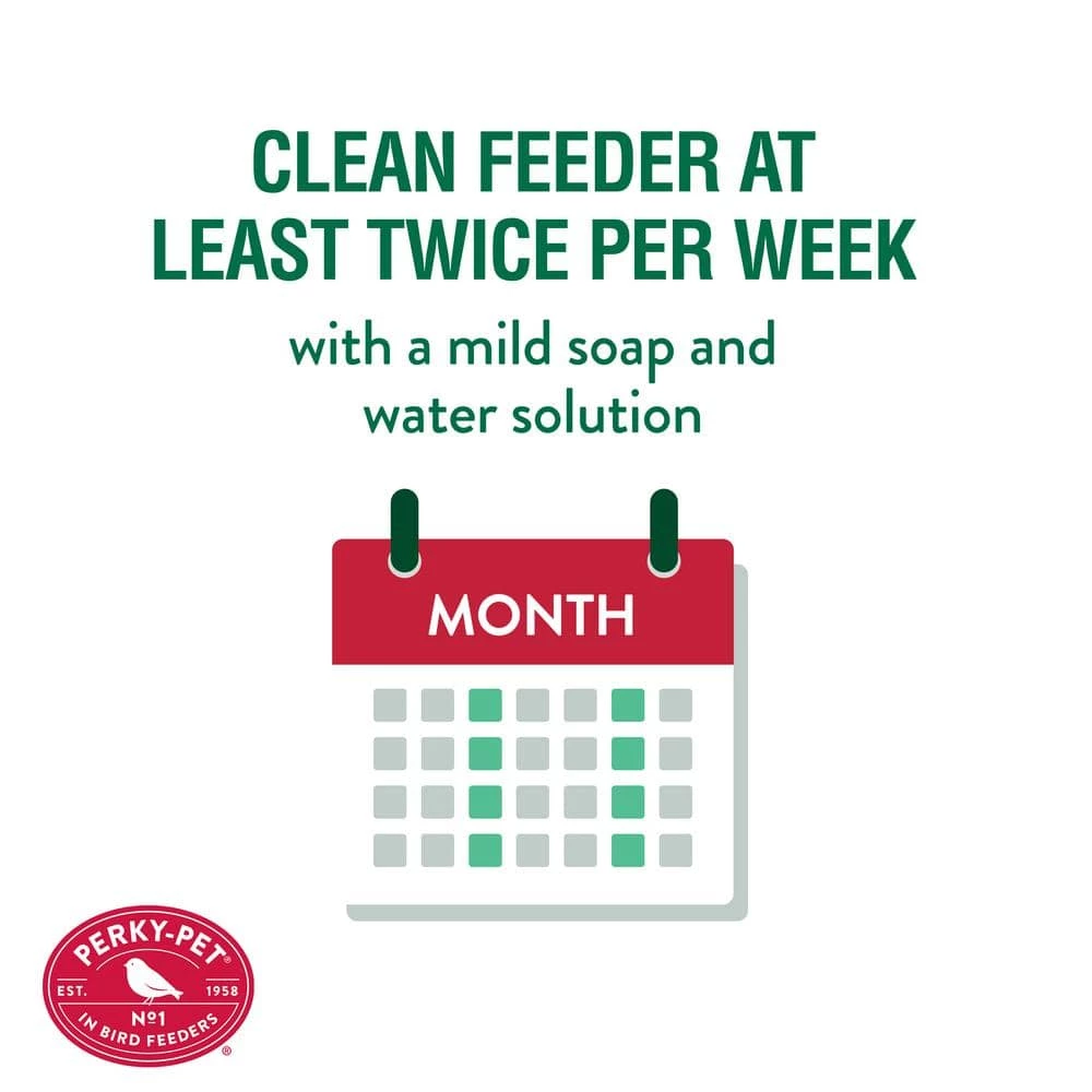 Adjustable Perch Glass Hummingbird Feeder - 20 oz. Capacity by Perky-Pet 8 Adjustable Perch Glass Hummingbird Feeder - 20 oz. Capacity by Perky-Pet - Image 8