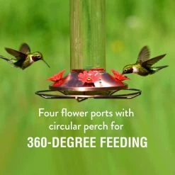 Elegant Glass Copper Hummingbird Feeder - 12 oz. Capacity by Perky-Pet 14 Elegant Glass Copper Hummingbird Feeder - 12 oz. Capacity by Perky-Pet -Cheap Bird & Wildlife Supplies Store perky pet bird feeders 710b 4f 1000