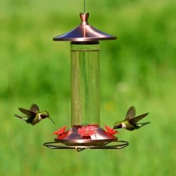 Elegant Glass Copper Hummingbird Feeder - 12 oz. Capacity by Perky-Pet 17 Elegant Glass Copper Hummingbird Feeder - 12 oz. Capacity by Perky-Pet -Cheap Bird & Wildlife Supplies Store perky pet bird feeders 710b fa 1000