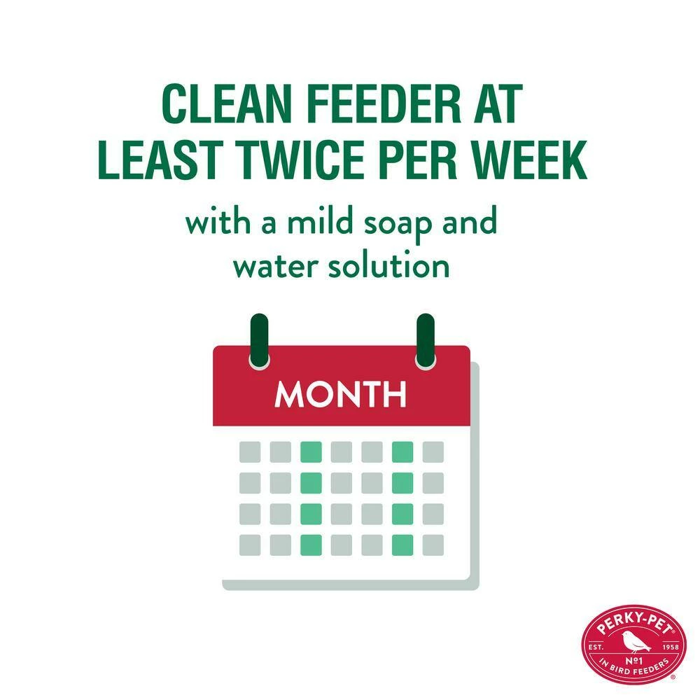 Clear Antique Bottle Decorative Glass Hummingbird Feeder - 10 oz. Capacity by Perky-Pet 7 Clear Antique Bottle Decorative Glass Hummingbird Feeder - 10 oz. Capacity by Perky-Pet - Image 7