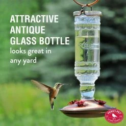 Clear Antique Bottle Decorative Glass Hummingbird Feeder - 10 oz. Capacity by Perky-Pet 13 Clear Antique Bottle Decorative Glass Hummingbird Feeder - 10 oz. Capacity by Perky-Pet -Cheap Bird & Wildlife Supplies Store perky pet bird feeders 8107 2 4f 1000