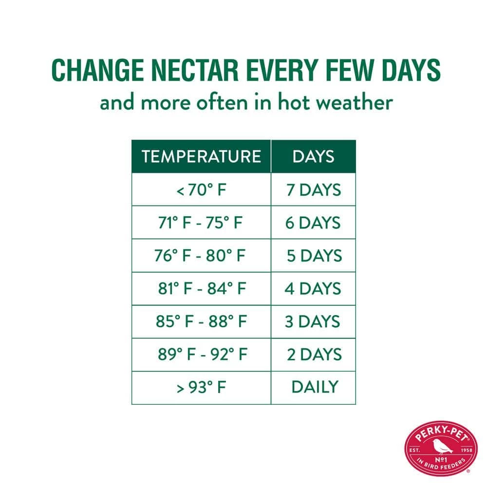 Clear Antique Bottle Decorative Glass Hummingbird Feeder - 10 oz. Capacity by Perky-Pet 9 Clear Antique Bottle Decorative Glass Hummingbird Feeder - 10 oz. Capacity by Perky-Pet - Image 9