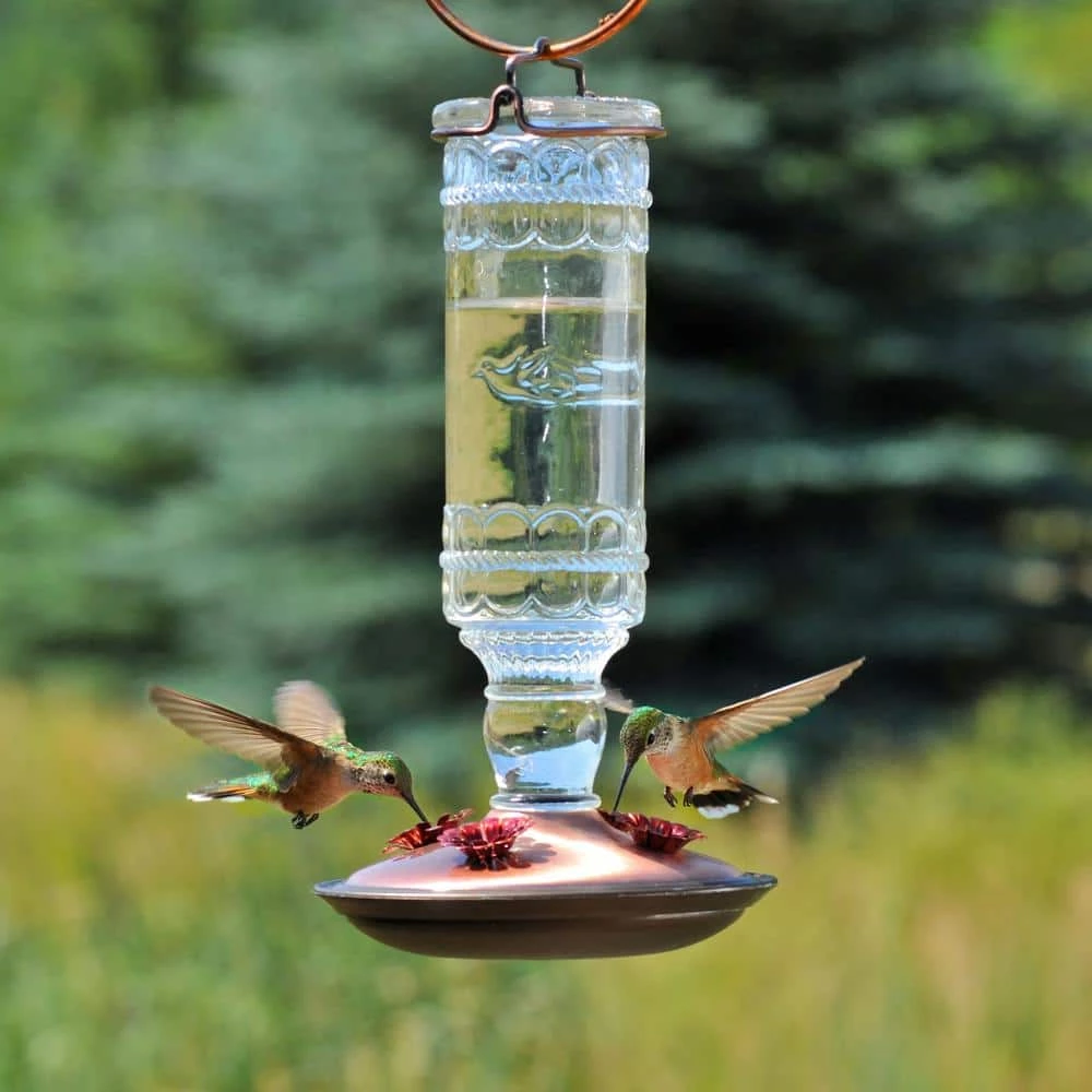 Clear Antique Bottle Decorative Glass Hummingbird Feeder - 10 oz. Capacity by Perky-Pet 2 Clear Antique Bottle Decorative Glass Hummingbird Feeder - 10 oz. Capacity by Perky-Pet - Image 2