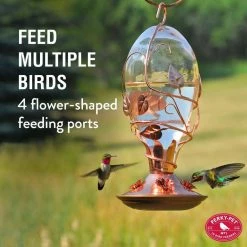 Looking Glass Hummingbird Feeder - 32 oz. Capacity by Perky-Pet 12 Looking Glass Hummingbird Feeder - 32 oz. Capacity by Perky-Pet -Cheap Bird & Wildlife Supplies Store perky pet bird feeders 8110h 1 c3 1000
