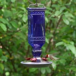 Blue Antique Square Decorative Glass Hummingbird Feeder - 16 oz. Capacity by Perky-Pet -Cheap Bird & Wildlife Supplies Store perky pet bird feeders 8117 2 fa 1000