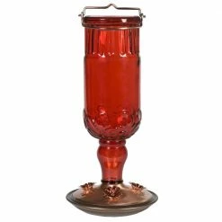 Red Antique Bottle Decorative Glass Hummingbird Feeder - 24 oz. Capacity by Perky-Pet