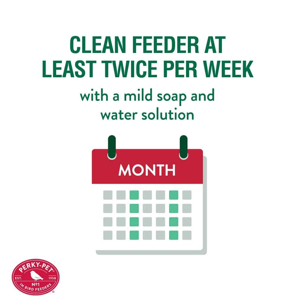 Red Antique Bottle Decorative Glass Hummingbird Feeder - 24 oz. Capacity by Perky-Pet 8 Red Antique Bottle Decorative Glass Hummingbird Feeder - 24 oz. Capacity by Perky-Pet - Image 8