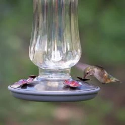 Starglow Decorative Glass Hummingbird Feeder - 16 oz. Capacity by Perky-Pet -Cheap Bird & Wildlife Supplies Store perky pet bird feeders 8132 2 1d 1000