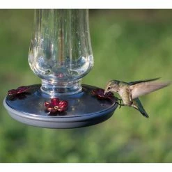 Starglow Decorative Glass Hummingbird Feeder - 16 oz. Capacity by Perky-Pet -Cheap Bird & Wildlife Supplies Store perky pet bird feeders 8132 2 4f 1000
