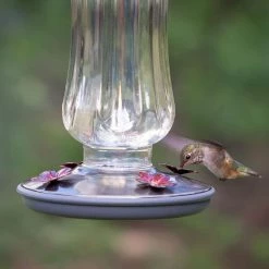 Starglow Decorative Glass Hummingbird Feeder - 16 oz. Capacity by Perky-Pet -Cheap Bird & Wildlife Supplies Store perky pet bird feeders 8132 2 76 1000