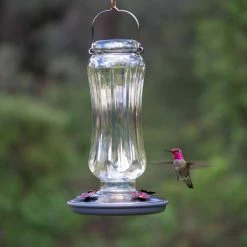 Starglow Decorative Glass Hummingbird Feeder - 16 oz. Capacity by Perky-Pet -Cheap Bird & Wildlife Supplies Store perky pet bird feeders 8132 2 77 1000