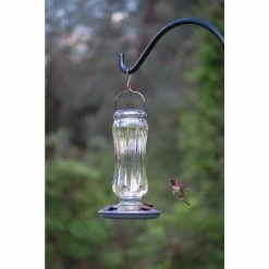 Starglow Decorative Glass Hummingbird Feeder - 16 oz. Capacity by Perky-Pet -Cheap Bird & Wildlife Supplies Store perky pet bird feeders 8132 2 c3 1000