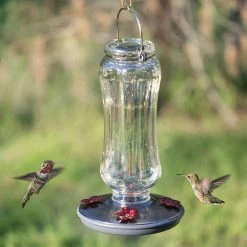 Starglow Decorative Glass Hummingbird Feeder - 16 oz. Capacity by Perky-Pet -Cheap Bird & Wildlife Supplies Store perky pet bird feeders 8132 2 d4 1000