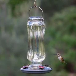 Starglow Decorative Glass Hummingbird Feeder - 16 oz. Capacity by Perky-Pet -Cheap Bird & Wildlife Supplies Store perky pet bird feeders 8132 2 fa 1000