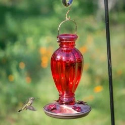 Red Daisy Vase Decorative Glass Hummingbird Feeder - 18 oz. Capacity by Perky-Pet -Cheap Bird & Wildlife Supplies Store perky pet bird feeders 8133 2 44 1000
