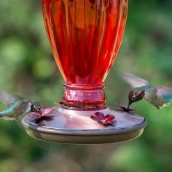 Red Daisy Vase Decorative Glass Hummingbird Feeder - 18 oz. Capacity by Perky-Pet -Cheap Bird & Wildlife Supplies Store perky pet bird feeders 8133 2 76 1000