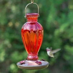 Red Daisy Vase Decorative Glass Hummingbird Feeder - 18 oz. Capacity by Perky-Pet -Cheap Bird & Wildlife Supplies Store perky pet bird feeders 8133 2 fa 1000