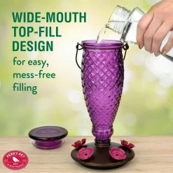 Diamond Wine Top-Fill Decorative Glass Hummingbird Feeder - 24 oz. Capacity by Perky-Pet -Cheap Bird & Wildlife Supplies Store perky pet bird feeders 9102 2 c3 1000