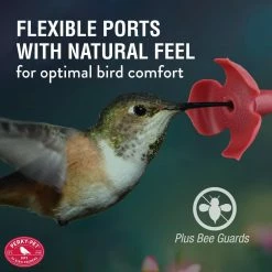 Rose Gold Top-Fill Decorative Glass Hummingbird Feeder - 24 oz. Capacity by Perky-Pet 16 Rose Gold Top-Fill Decorative Glass Hummingbird Feeder - 24 oz. Capacity by Perky-Pet -Cheap Bird & Wildlife Supplies Store perky pet bird feeders 9104 2 1f 1000