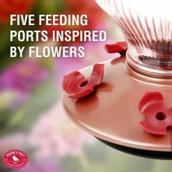 Rose Gold Top-Fill Decorative Glass Hummingbird Feeder - 24 oz. Capacity by Perky-Pet 15 Rose Gold Top-Fill Decorative Glass Hummingbird Feeder - 24 oz. Capacity by Perky-Pet -Cheap Bird & Wildlife Supplies Store perky pet bird feeders 9104 2 4f 1000