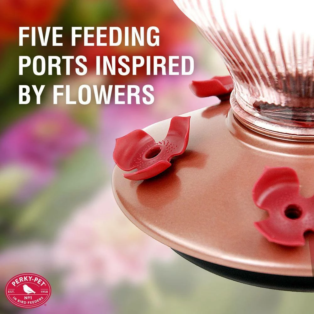 Rose Gold Top-Fill Decorative Glass Hummingbird Feeder - 24 oz. Capacity by Perky-Pet 6 Rose Gold Top-Fill Decorative Glass Hummingbird Feeder - 24 oz. Capacity by Perky-Pet - Image 6