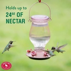 Rose Gold Top-Fill Decorative Glass Hummingbird Feeder - 24 oz. Capacity by Perky-Pet 19 Rose Gold Top-Fill Decorative Glass Hummingbird Feeder - 24 oz. Capacity by Perky-Pet -Cheap Bird & Wildlife Supplies Store perky pet bird feeders 9104 2 76 1000