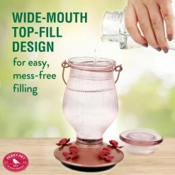 Rose Gold Top-Fill Decorative Glass Hummingbird Feeder - 24 oz. Capacity by Perky-Pet 14 Rose Gold Top-Fill Decorative Glass Hummingbird Feeder - 24 oz. Capacity by Perky-Pet -Cheap Bird & Wildlife Supplies Store perky pet bird feeders 9104 2 c3 1000