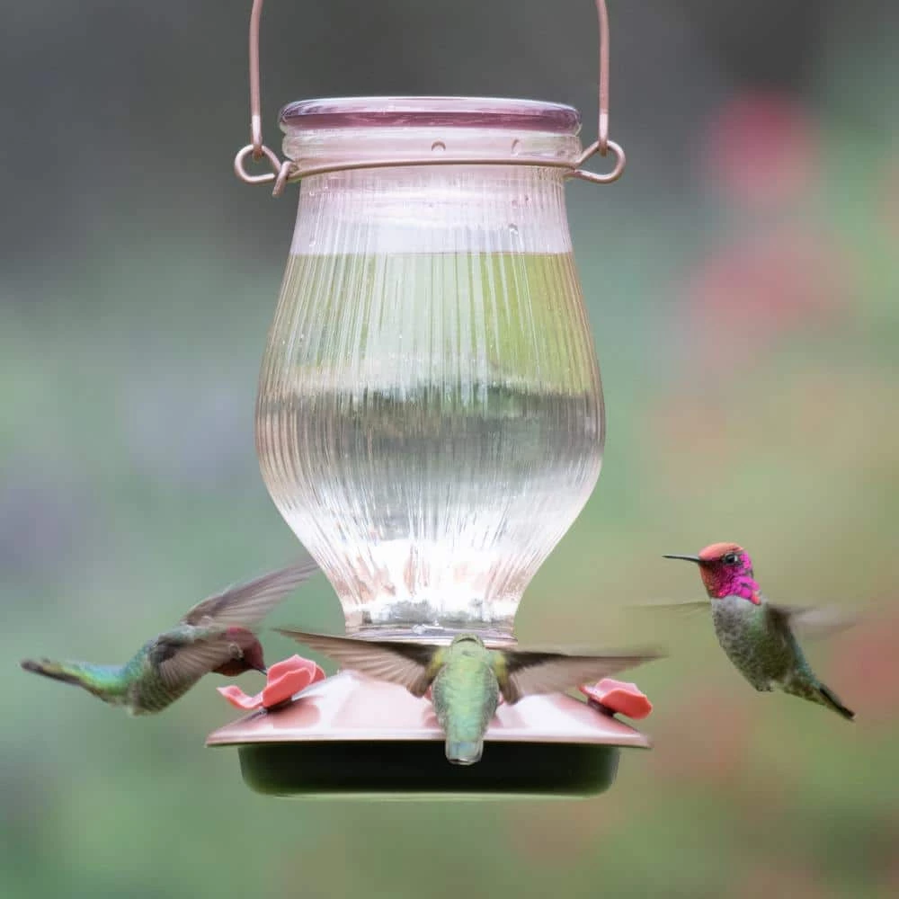 Rose Gold Top-Fill Decorative Glass Hummingbird Feeder - 24 oz. Capacity by Perky-Pet 2 Rose Gold Top-Fill Decorative Glass Hummingbird Feeder - 24 oz. Capacity by Perky-Pet - Image 2