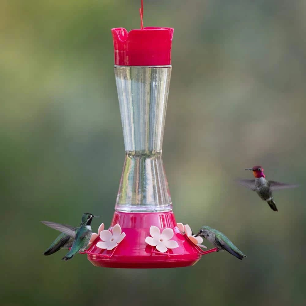 Top-Fill Pinch Waist Glass Hummingbird Feeder - 20 oz. Capacity by Perky-Pet 2 Top-Fill Pinch Waist Glass Hummingbird Feeder - 20 oz. Capacity by Perky-Pet - Image 2
