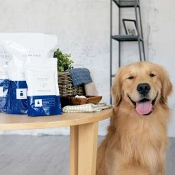 CO2 Pet Treatment Lactic Acid Spa Tablets (1-Pack/10QTY) by NAGAYU -Cheap Bird & Wildlife Supplies Store pet baths ngy pett s10 44 1000