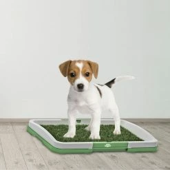 Puppy Potty Trainer Artificial Grass Mat, Tray and 5 Extra Replacement Turf Pads, Portable Indoor Toilet Training by Pet Trex -Cheap Bird & Wildlife Supplies Store pet trex waste disposal systems 193131cqd 4f 1000
