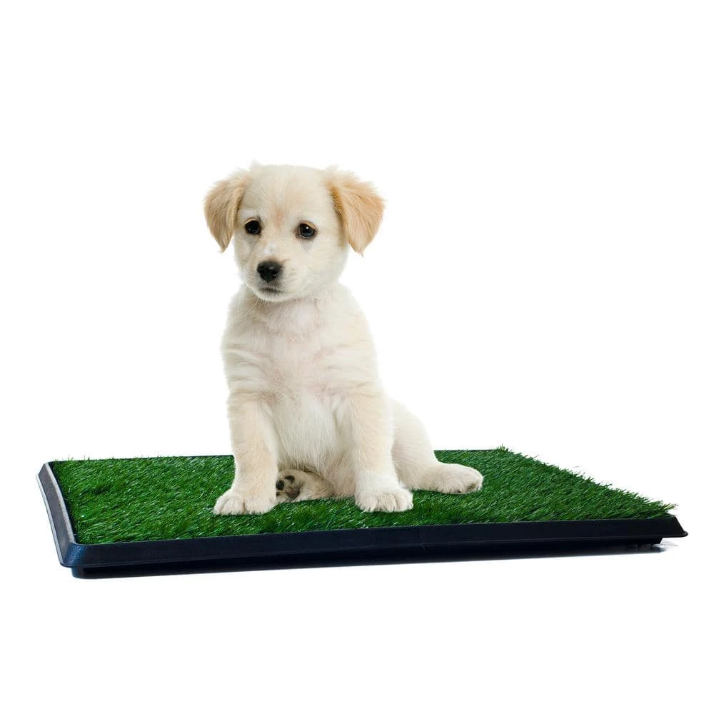 16 in. x 20 in. Puppy Potty Trainer by Petmaker 3 16 in. x 20 in. Puppy Potty Trainer by Petmaker - Image 3