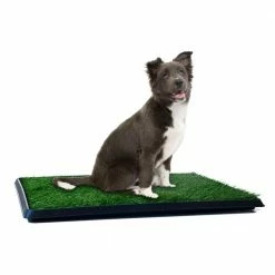 Medium Puppy Potty Trainer Artificial Grass Mat by Petmaker -Cheap Bird & Wildlife Supplies Store petmaker accessories w320171 31 1000