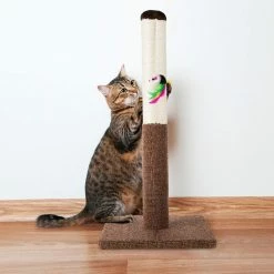 24.5 in. Cat Scratching Post by Petmaker -Cheap Bird & Wildlife Supplies Store petmaker cat trees scratch posts hw3210117 1f 1000