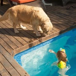 Large Chocolate Waterproof Pet Bed by Petmaker 11 Large Chocolate Waterproof Pet Bed by Petmaker -Cheap Bird & Wildlife Supplies Store petmaker dog beds pillows hw3210037 1f 1000