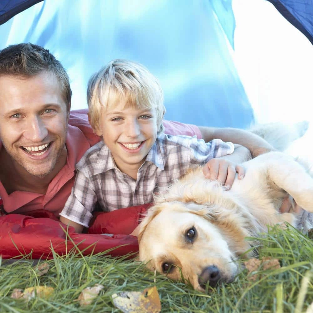 Large Chocolate Waterproof Pet Bed by Petmaker 4 Large Chocolate Waterproof Pet Bed by Petmaker - Image 4