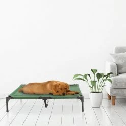 Large Green Elevated Pet Bed by Petmaker -Cheap Bird & Wildlife Supplies Store petmaker dog beds pillows hw3210137 31 1000
