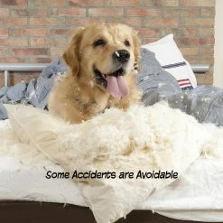 4-Panel Wooden Freestanding Folding Pet Gate with Scalloped Top in White by Petmaker 12 4-Panel Wooden Freestanding Folding Pet Gate with Scalloped Top in White by Petmaker -Cheap Bird & Wildlife Supplies Store petmaker dog pens gates hw3210212 44 1000